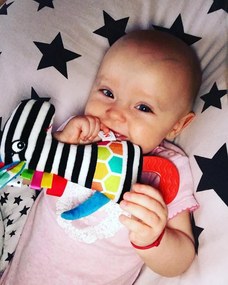 Mom's care - giraffa con ciuccio