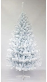 Albero di Natale, abete bianco 180 cm