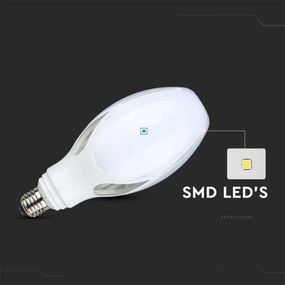 Lampadina LED SAMSUNG CHIP E27/36W/230V 6500K
