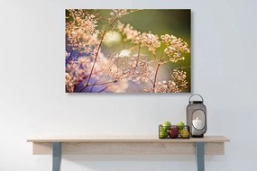 Stampa su tela – Natura morta di fiori