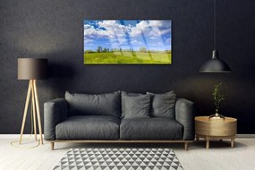 Quadro vetro acrilico Paesaggio del cielo dell'erba del prato 100x50 cm