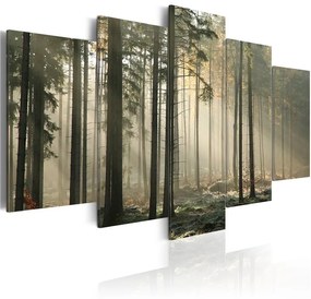 Quadro Traccia luminosa in un bosco cupo  Colore Grigio, Dimensioni e Misure 100x50