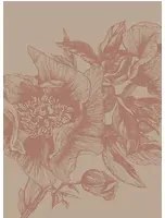 Coordonne Carta da parati panoramica Giant Peonies - Nude