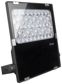 Proiettore LED 50W RGB+CCT IP66 Angolo 25°, Dimmerabile - 2.4GHz Colore RGB+CCT