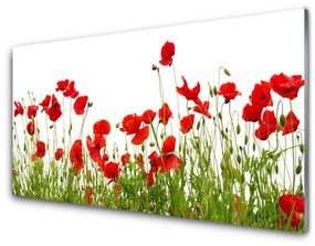 Quadro vetro acrilico Prato, papaveri, fiori, natura 100x50 cm