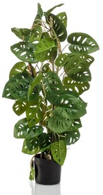 Monstera Adansonii Artificiale 75 Cm İn Vaso /