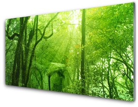 Quadro vetro Alberi della natura 100x50 cm