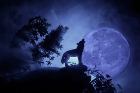 Quadro su tela – Lupo alla luna piena
