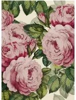 John Derian Carta da parati The Rose - Tuberrose