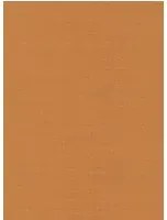 Nobilis Carta da parati Seta - STA17