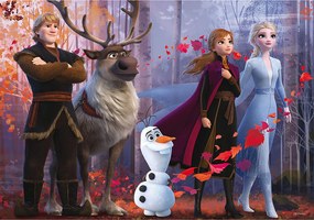 Puzzle maxi double-face Disney Frozen II 108 pz retro colorabile 2641