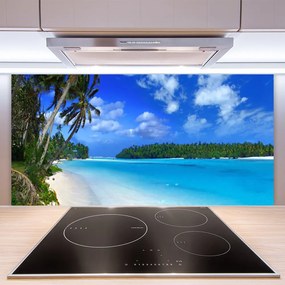 Pannello cucina paraschizzi Mare di Palm Beach 100x50 cm