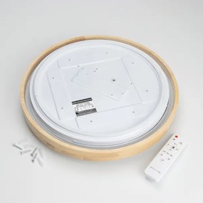 Brilagi - Plafoniera dimmerabile a LED PINE LED/24W/230V + telecomando