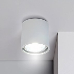 Applique da soffitto IP65 - Bianca Colore del corpo Bianco