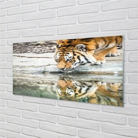 Quadro in vetro La tigre che beve 100x50 cm 2 appendini