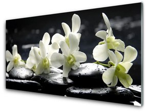 Quadro su vetro acrilico Pianta di pietre di fiori 100x50 cm