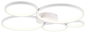 Plafoniera 5 LED Rondo bianco Trio