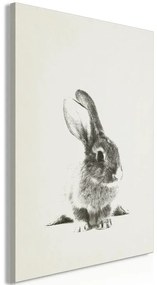 Quadro  Fluffy Bunny (1 Part) Vertical  Larghezza x Altezza Home decor 40x60