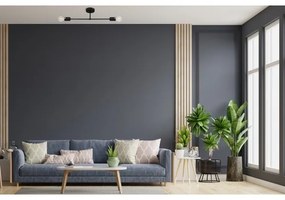 Lampadario a plafone CAMBRIDGE 2xE27/15W/230V nero