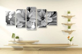 Quadri 5 pezzi – Magnolia bianca e nera su sfondo astratto