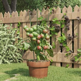 Supporti Piante Da Giardino Con 3 Anelli 5pz Verde 45cm Acciaio /