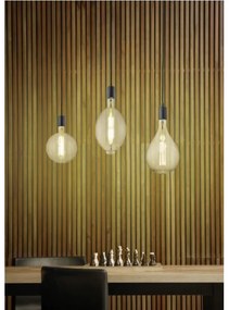 Trio - Lampadario LED Dimmerabile su corda GINSTER 3xE27/8W/230V