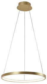 Leuchten Direkt 11522-12 - Lampadario LED a sospensione CIRCLE LED/19W/230V