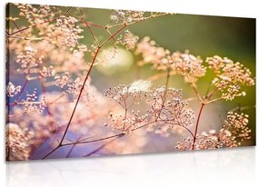 Stampa su tela – Natura morta di fiori