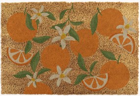 Zerbino in cocco Orange