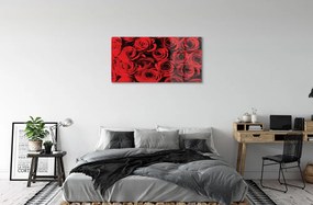 Quadro vetro acrilico Rose 100x50 cm