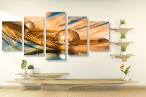 Quadri 5 pezzi – Goccia d'acqua su piuma dorata