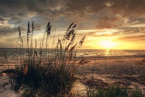 Quadro su tela – Tramonto sulla spiaggia