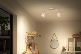Philips Lirio 57032/31/P0 - Faretto LED PLANET 2xLED/4,2W/230V