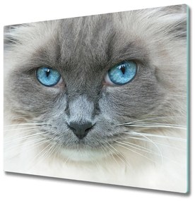 Tagliere in vetro Occhi blu di gatto 60x52 cm