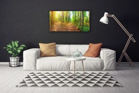 Quadro su tela Alberi della natura della foresta 100x50 cm