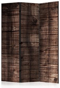 Paravento design Assi marroni scuri (3-parti) - sfondo retrò a texture di legno