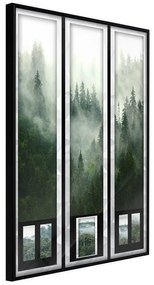 Poster  Eternal Forest – Triptych  Cornice Quadri Cornice nera, Larghezza x Altezza Home decor 20x30