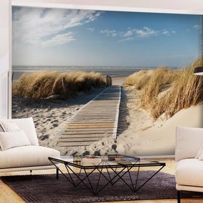 Fotomurale adesivo  Lonely Beach  Larghezza x Altezza Home decor 147x105