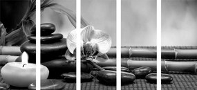 Quadri 5 pezzi – Natura morta Feng Shui in bianco e nero