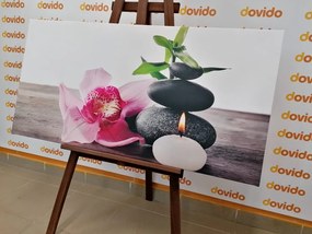 Quadro su tela – Natura morta zen armoniosa