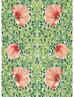Morris & Co Carta da parati Pimpernel - Shamrock/ Watermelon