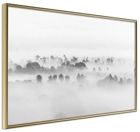 Poster  Fog Over the Forest  Cornice Quadri Cornice d'oro, Larghezza x Altezza Home decor 30x20