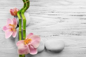 Carta da parati – Composizione Zen delicata