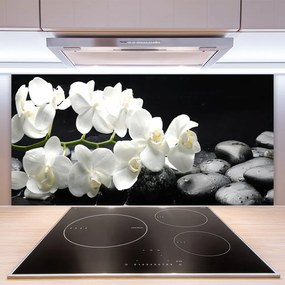Pannello rivestimento parete cucina Pianta di pietre di fiori 100x50 cm