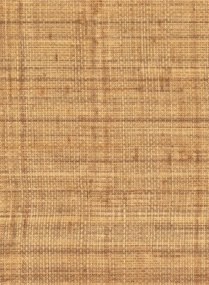 Élitis Carta da parati Abaca - VP 983 15