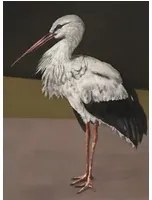 Coordonne Carta da parati panoramica Stork Mother - Black