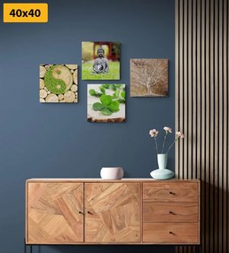 Set di quadri – Feng Shui con elementi naturali