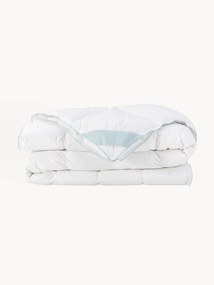 Piumino normale in piuma d'oca quattro stagioni Comfort