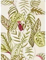 Sanderson Carta da parati Calathea - Olive