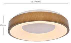 Brilagi - Lampada LED da soffitto dimmerabile DORIA LED/48W/230V 3000-6500K + DO